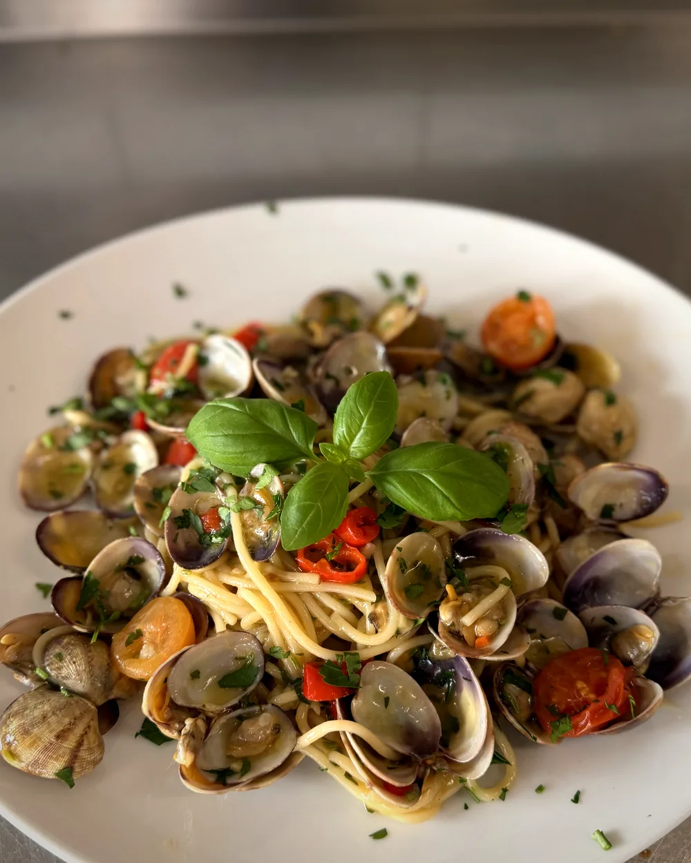 Spaghetti mit Venusmuscheln, Kirschtomaten und Basilikum