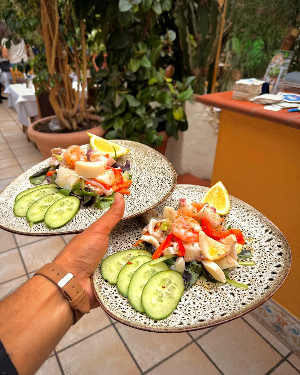 Zwei Teller hausgemachter Meeresfrüchtesalat, serviert auf der Terrasse