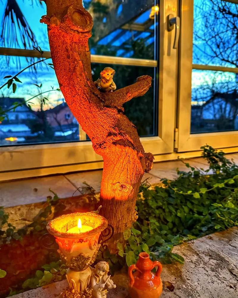 Kerzenschein an einem knorrigen Baumstamm in der Abenddämmerung